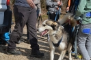 20190331_FAKT_HuskyTrekking_21