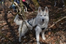 20190331_FAKT_HuskyTrekking_9